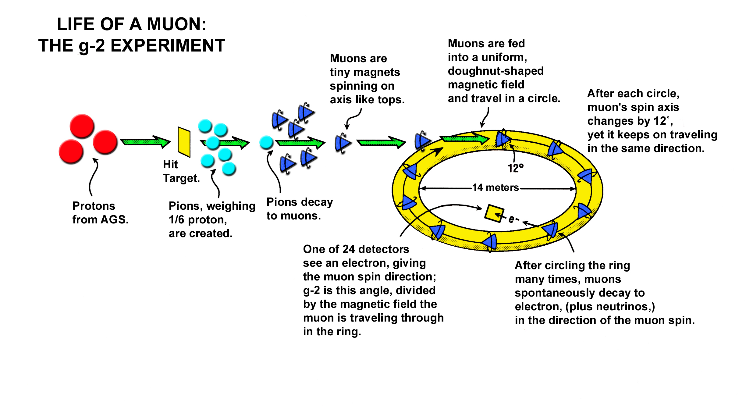 muon decay